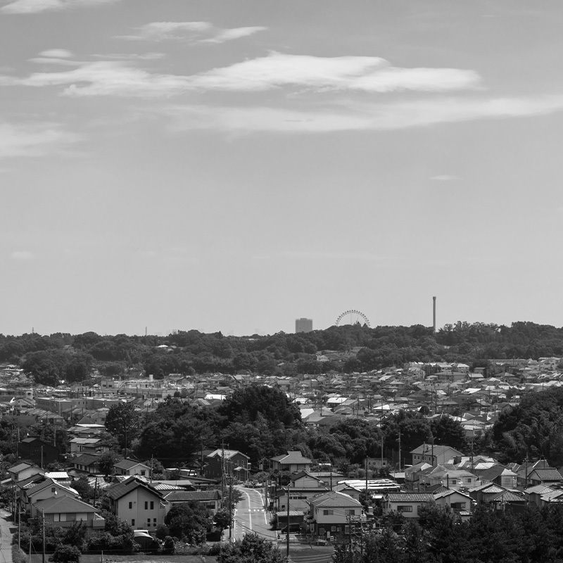 写真：風景