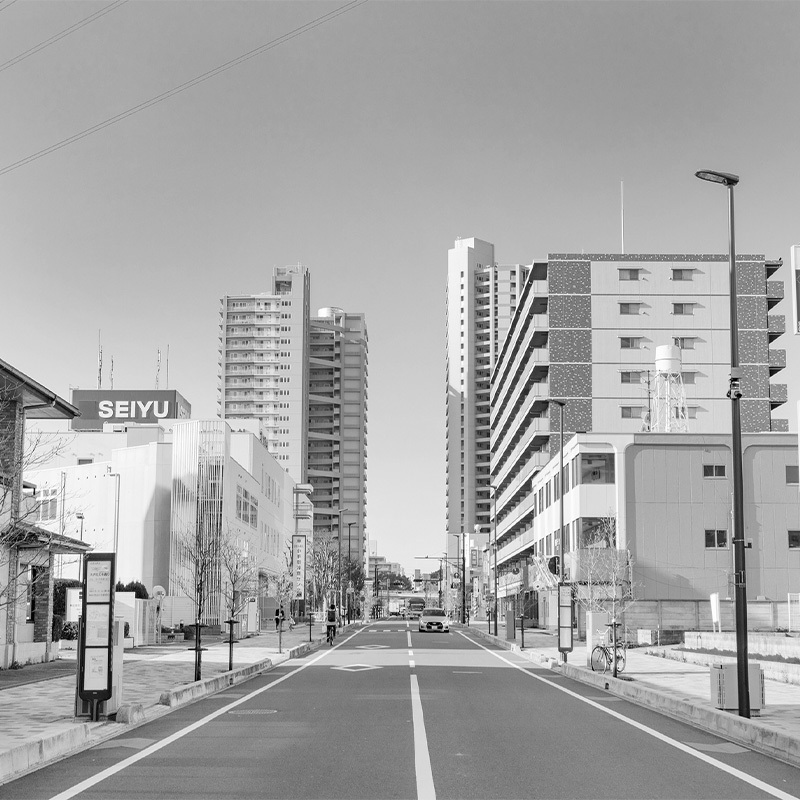 写真：風景